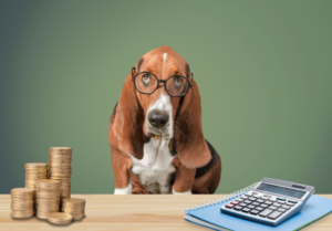 Juggling Debt and Pet Care Expenses: How to Balance Both