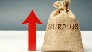 What Is Surplus Income?